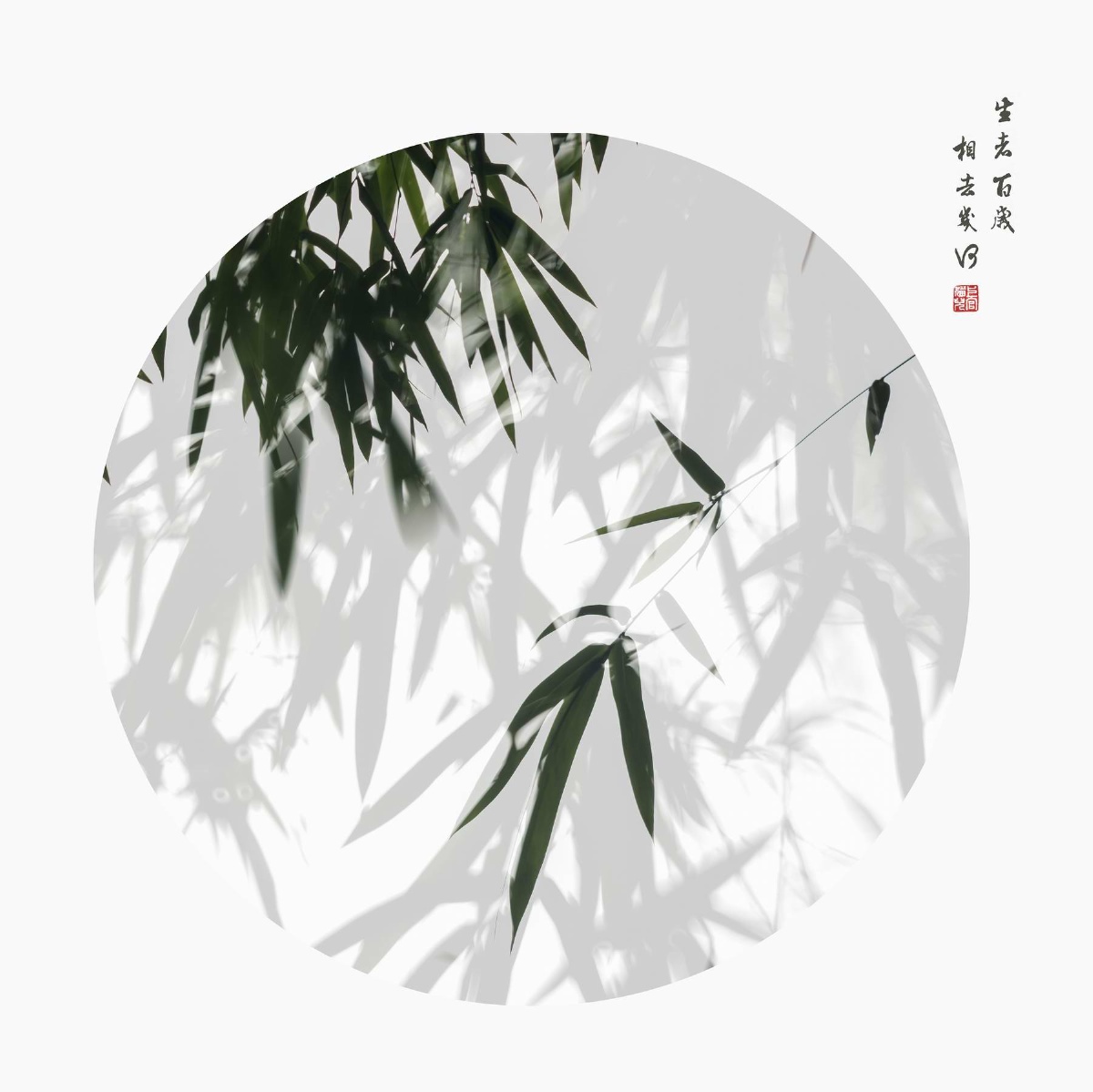 修禅02修竹李鸿娟创作谈02世界如藩篱吾独爱左右修竹于婆娑的精神