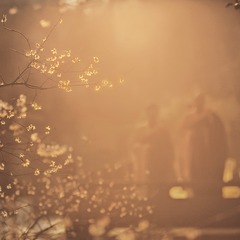 3398118