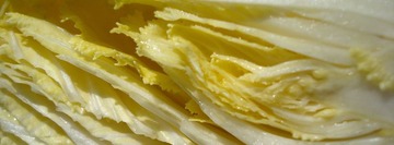 菜美人