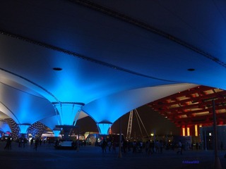 t中国蓝DSC06903