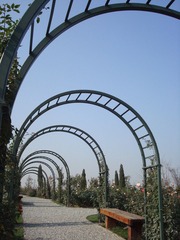 廊DSC08153