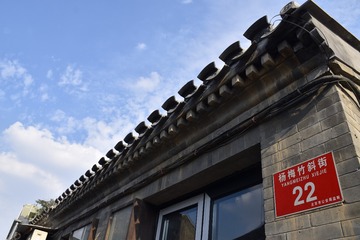 街拍鸽子08596