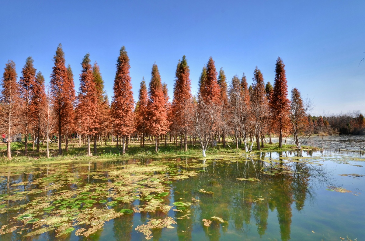 昆明捞鱼河湿地公园