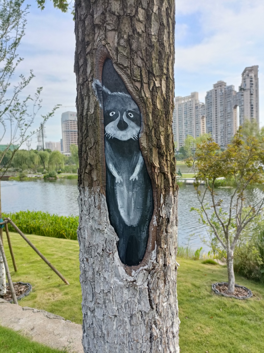 树干上的涂鸦,栩栩如生,美化环境.