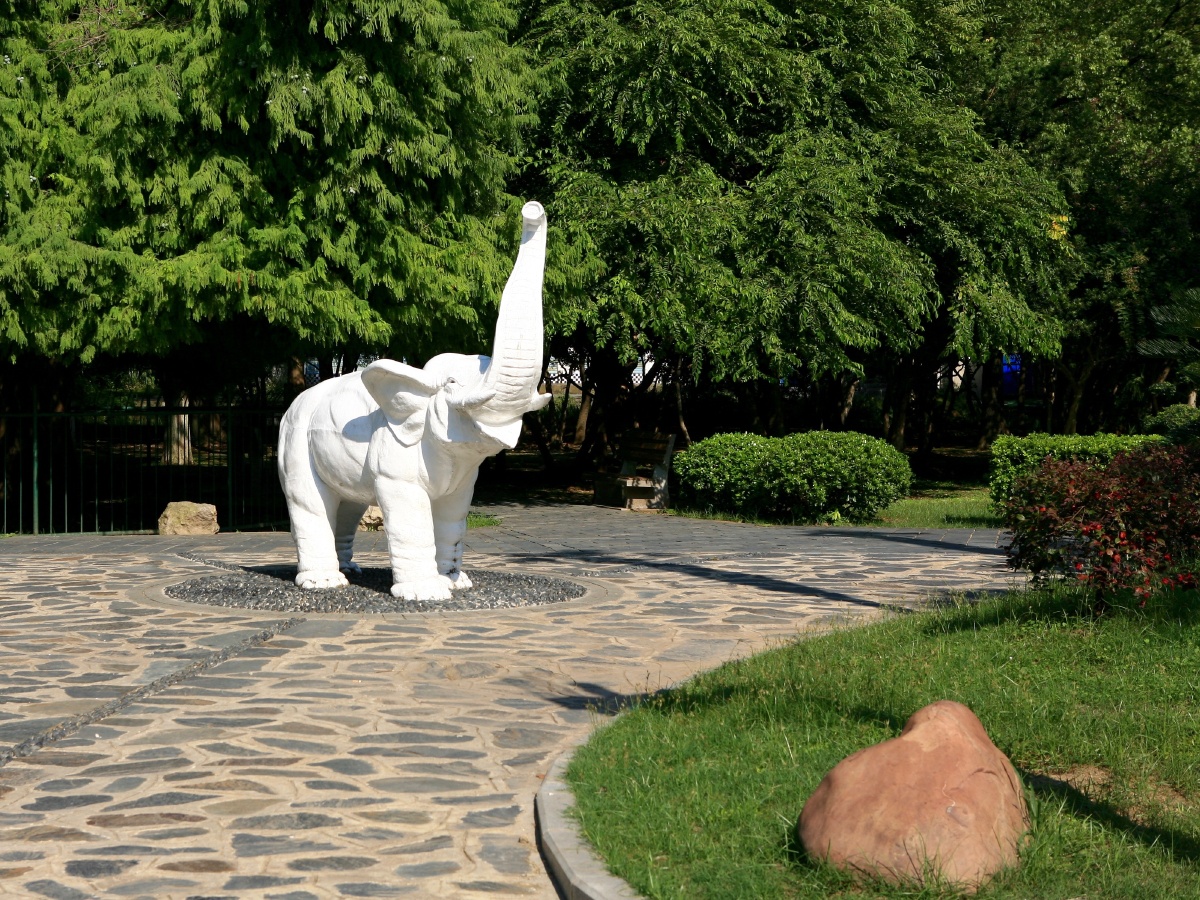 公园里的老雕塑—白象.