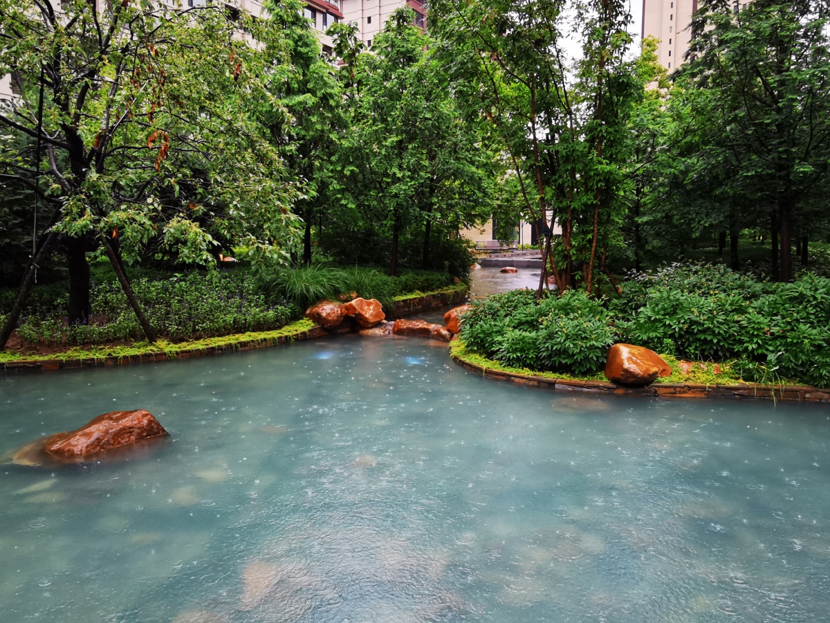 原图雨中散步雨晨手机拍