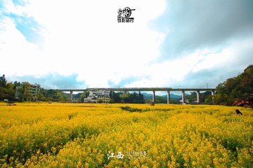 IMG_8145-1-2