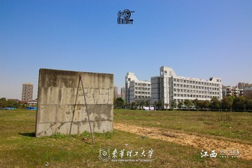 IMG_9735-1