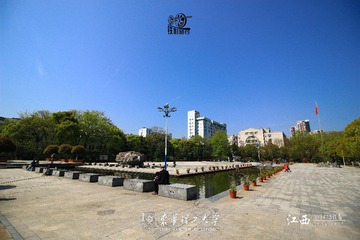 IMG_9644-1
