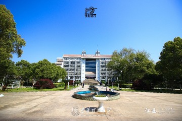 IMG_9646-1