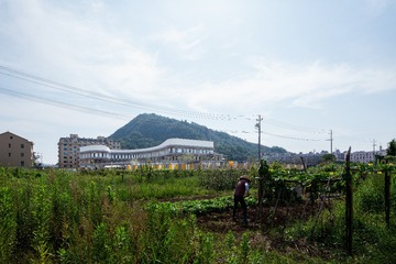 _SJ31535-编辑