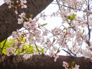 3AB986D0-D284-4B76-B149-079400576043/L0/001