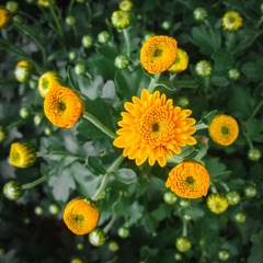 D7603FBF-F4D2-4469-8D6A-A6A88E3E04D6/L0/001