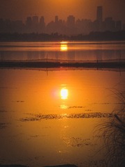 48936D5F-FD02-429C-A1EC-1BE2FA712170/L0/001