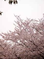 75E5DBFA-5969-4844-A3CF-C38E7B927058/L0/001