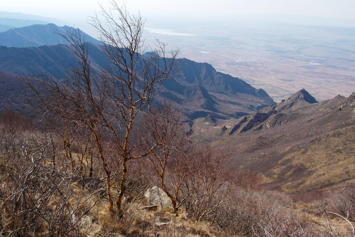 山西省阳高县六棱山自然保护区