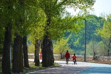28329-DSC_0345