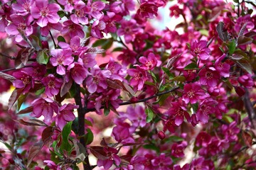 28421-DSC_0193