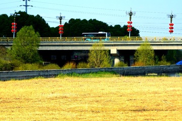 28342-DSC_0427