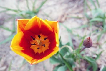 SAM_0903