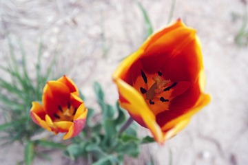SAM_0904