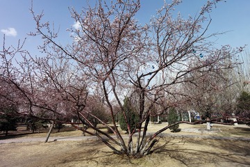 SAM_5496