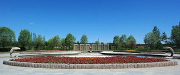 SAM_8318