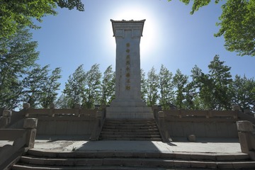 SAM_3027
