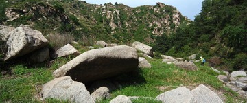 SAM_0003