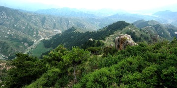 SAM_9595