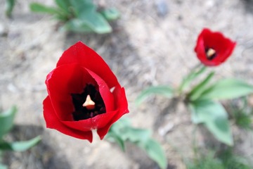 SAM_0914
