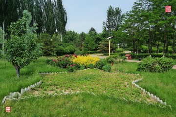 60x40SAM_7890