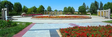 SAM_8139