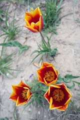 SAM_0907