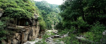 SAM_0087