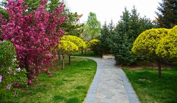 28484-DSC_0656