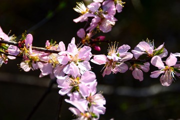 28040-DSC_0535
