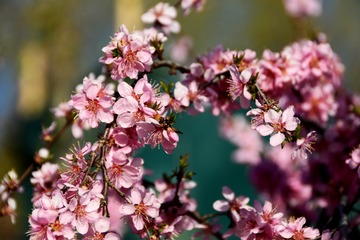 28056-DSC_0567