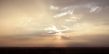SAM_0296