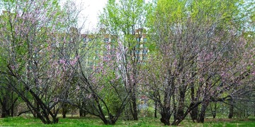 28464-DSC_0623