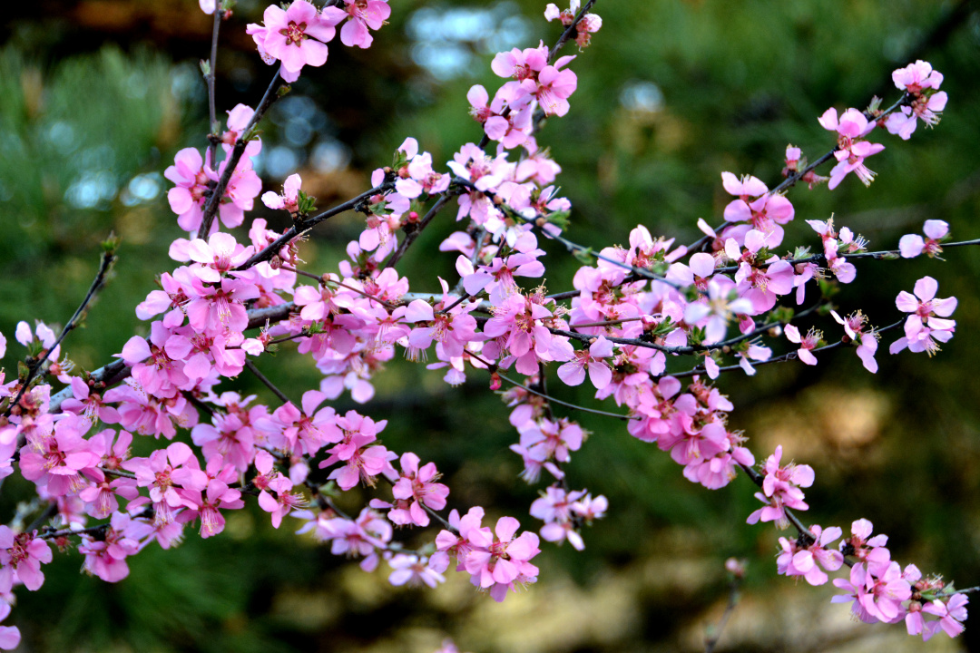 山西省左云县风光掠影