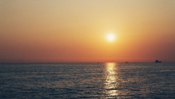 SAM_3635-01