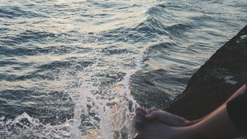 SAM_3650-01