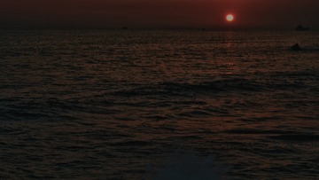 SAM_3665-01
