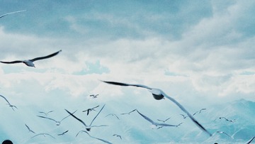 SAM_3042-01