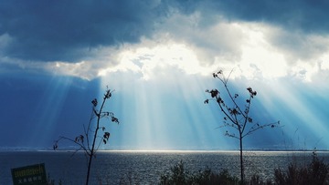 SAM_3210-01