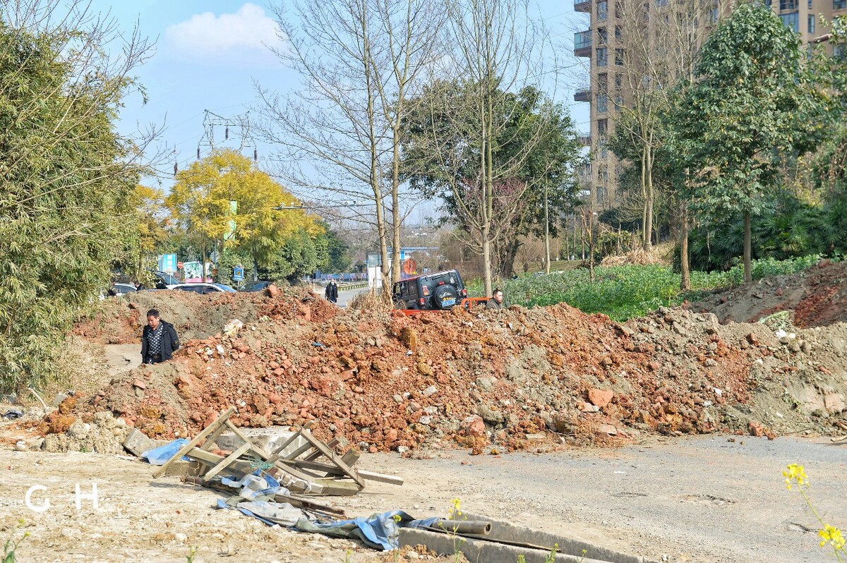 成都，银杏园路，1月29日。