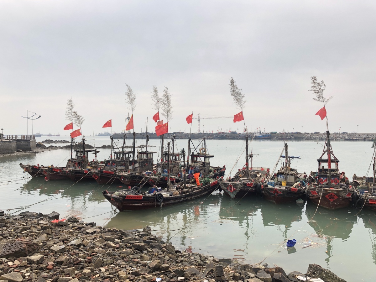 山东日照市岚山港停泊的渔船春节插上摇钱树