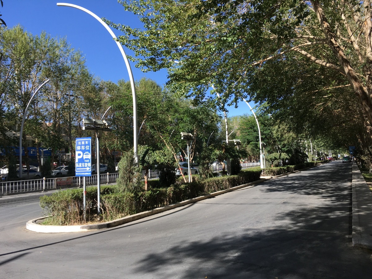 青海格尔木市区绿树成荫堪称高原绿城