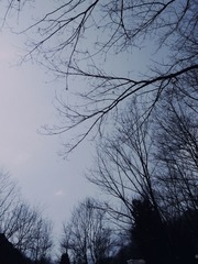 1660583